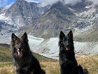 Shani und Gitan